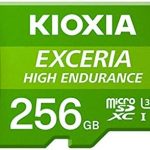 kioxia 256